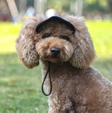 Outdoor Sun Protection Hood For Dogs - Assorted