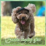 Outdoor Sun Protection Hood For Dogs - Assorted