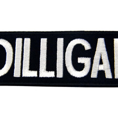 Wholesale DILLIGAF Jumbo Patch - Bold Embroidered Biker Patch (Sold By Piece)