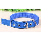 Wholesale Solid Color Pet Collar 25-inch - Assorted