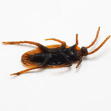 2407TA 5-50Pcs Halloween gadget Plastic Cockroaches Joke Decoration Props Rubber Toy Gags Practical Jokes Toys Plastic Bugs Cockroach