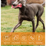 Real Beef Flavor Dog Chew Bones for Aggressive Chewers