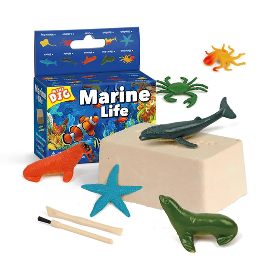 Sea Animals Tactile Play Toys for Kids