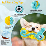 Dental Mesh Squeaky Dog Toys