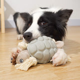 Turtle Dog Chew Toy