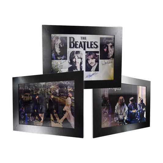 Bulk Buy The Beatles 3D Picture Frame Wholesale