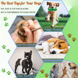 Crocodile Shaped Teething Chew Dog Toy