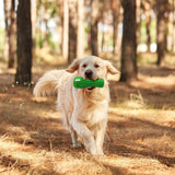 Crocodile Shaped Teething Chew Dog Toy