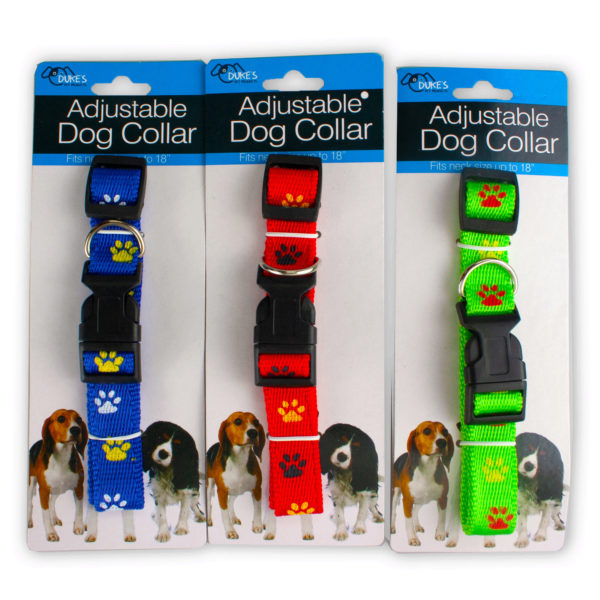 Dog Collar with Paw Print Design