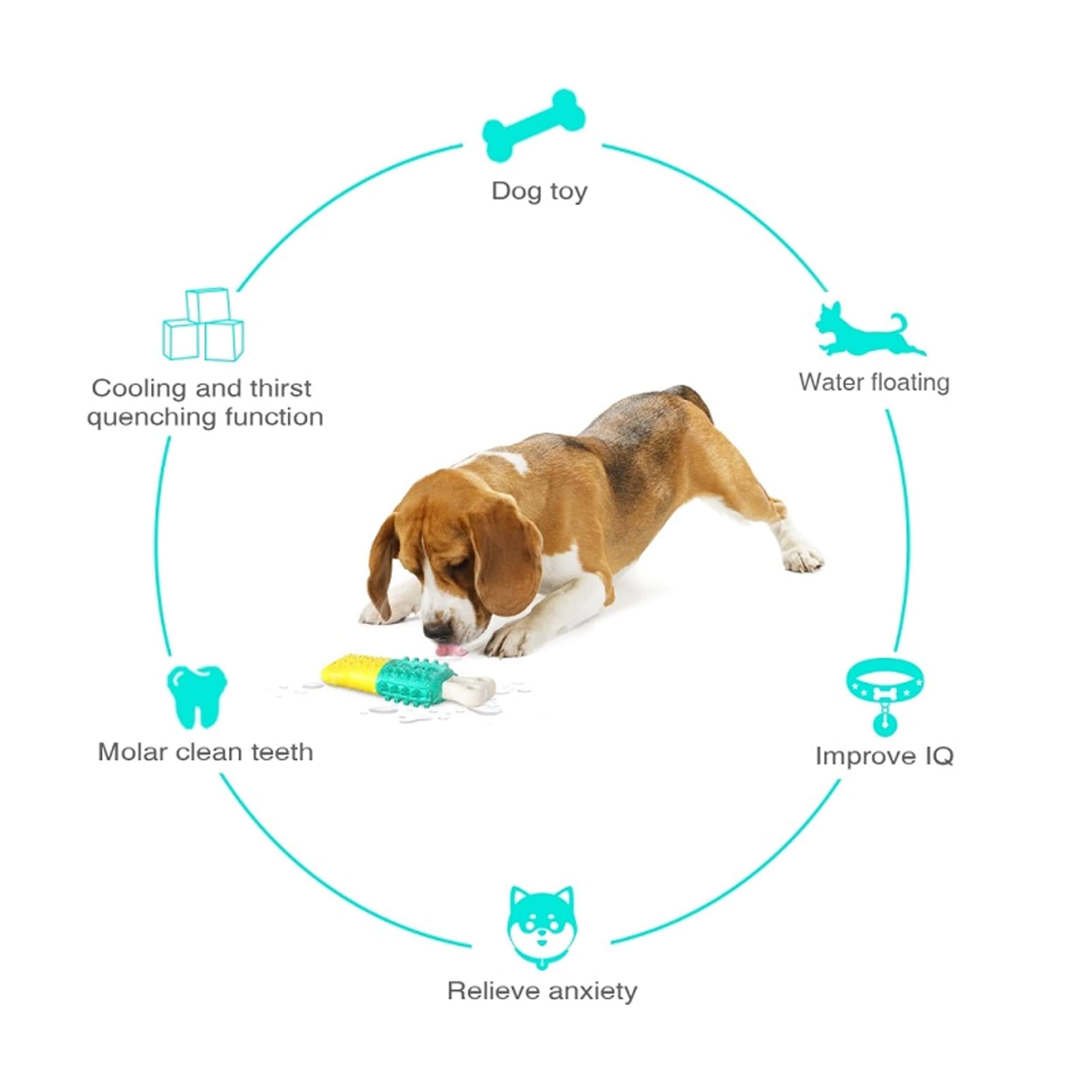 Features Of Puppy Teeth Cleaning Chew Toy