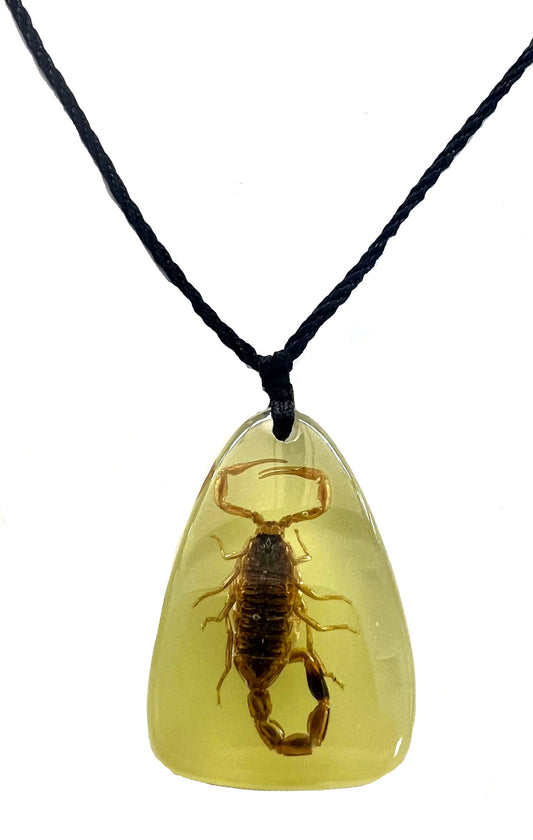 Wholesale GLOW IN THE DARK REAL SCORPION ADJUSTABLE NECKLACE (Sold by the piece or dozen)