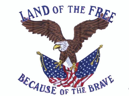 Buy LAND OF THE FREE BECAUSE OF THE BRAVE 3' X 5' FLAGBulk Price