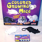 Buy MAGIC JUMBO 4 FOOT GROWING TOY RAT / MICE (Sold by the dozen) -* CLOSEOUT NOW ONLY 50 centsEABulk Price