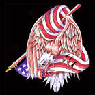 Buy WRAPPED EAGLE AMERICAN FLAG 45 INCH WALL BANNER / FLAG -* CLOSEOUT ONLY $ 2.50 EABulk Price