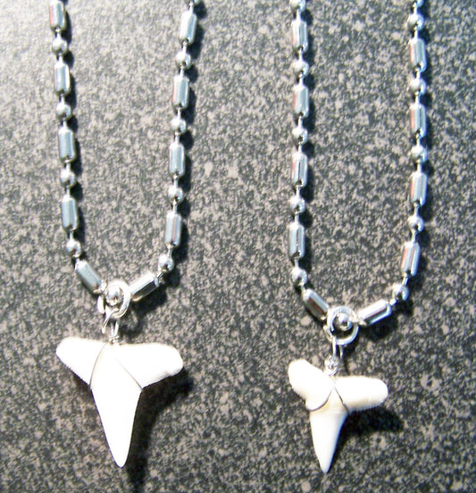 Buy STAINLESS STEEL BALL CHAIN NECKLACE W WIRE WRAPPED REAL SHARK TOOTH PENDANT( sold by the peice or dozenBulk Price