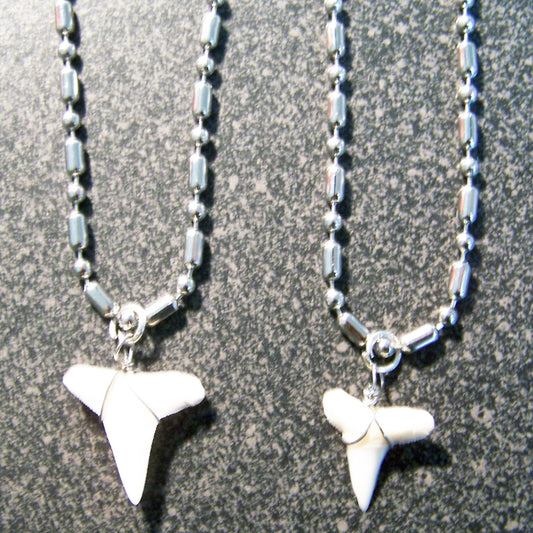 Wholesale Stainless Steel Ball Chain Necklace With Wire Wrapped Shark Tooth Pendant (sold by the peice or dozen)