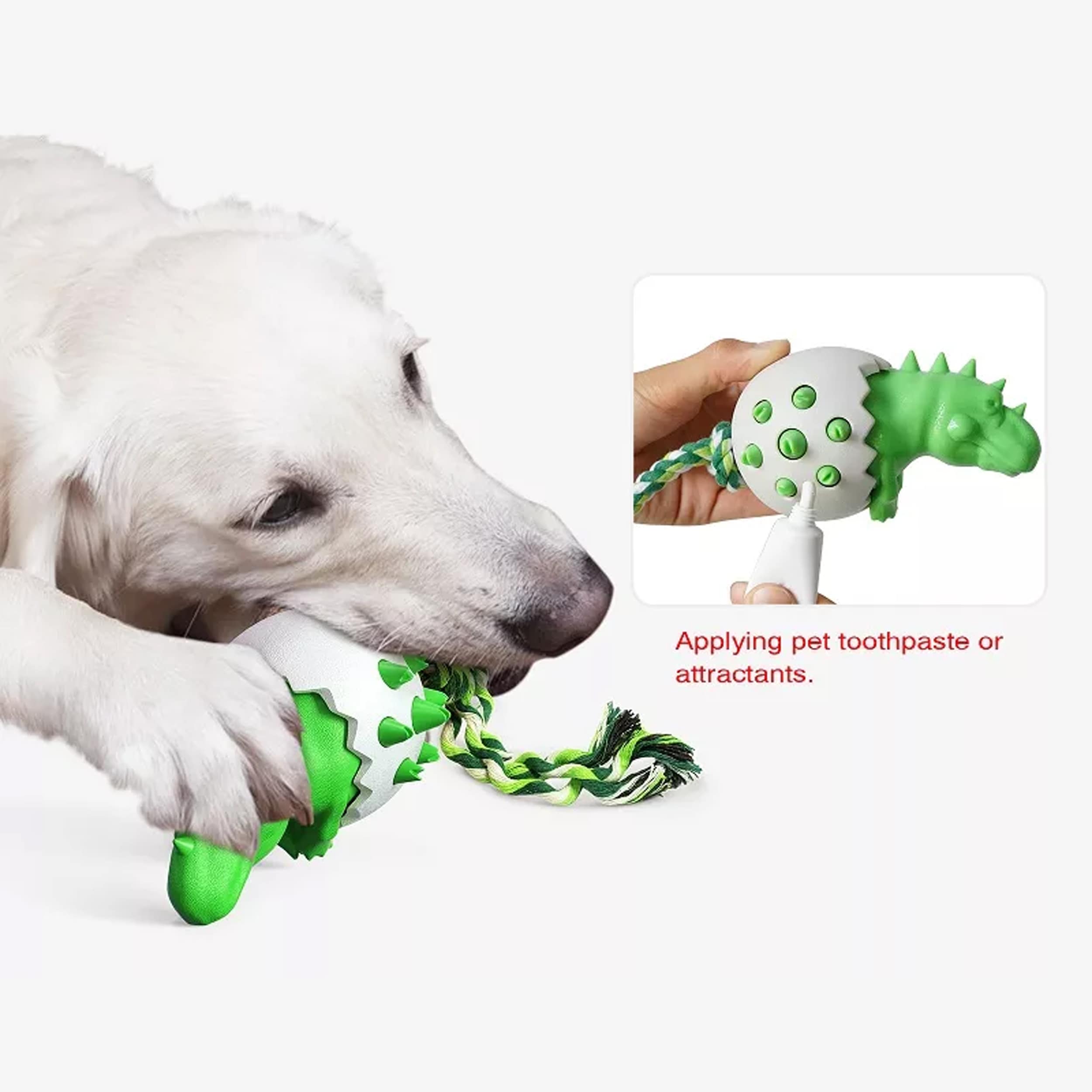 Dinosaur Teeth Clean Dog Chew Toy